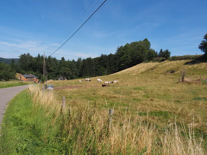 Beausaint (La Roche-en-Ardenne, België)